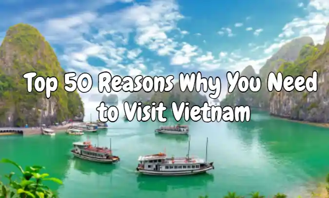 Top 50 Reasons Why You Need to Visit Vietnam