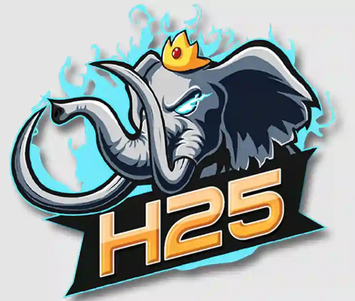 H25